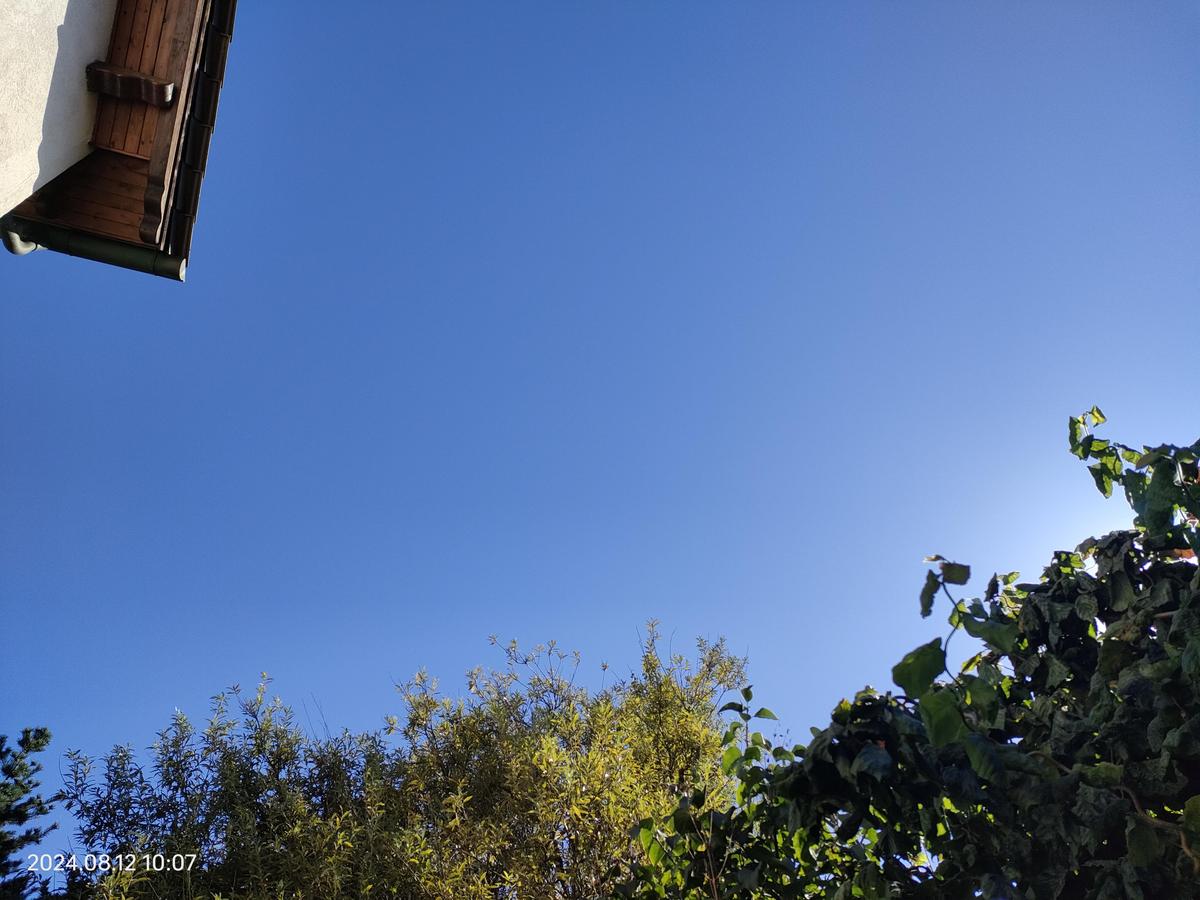 IMG20240812100716