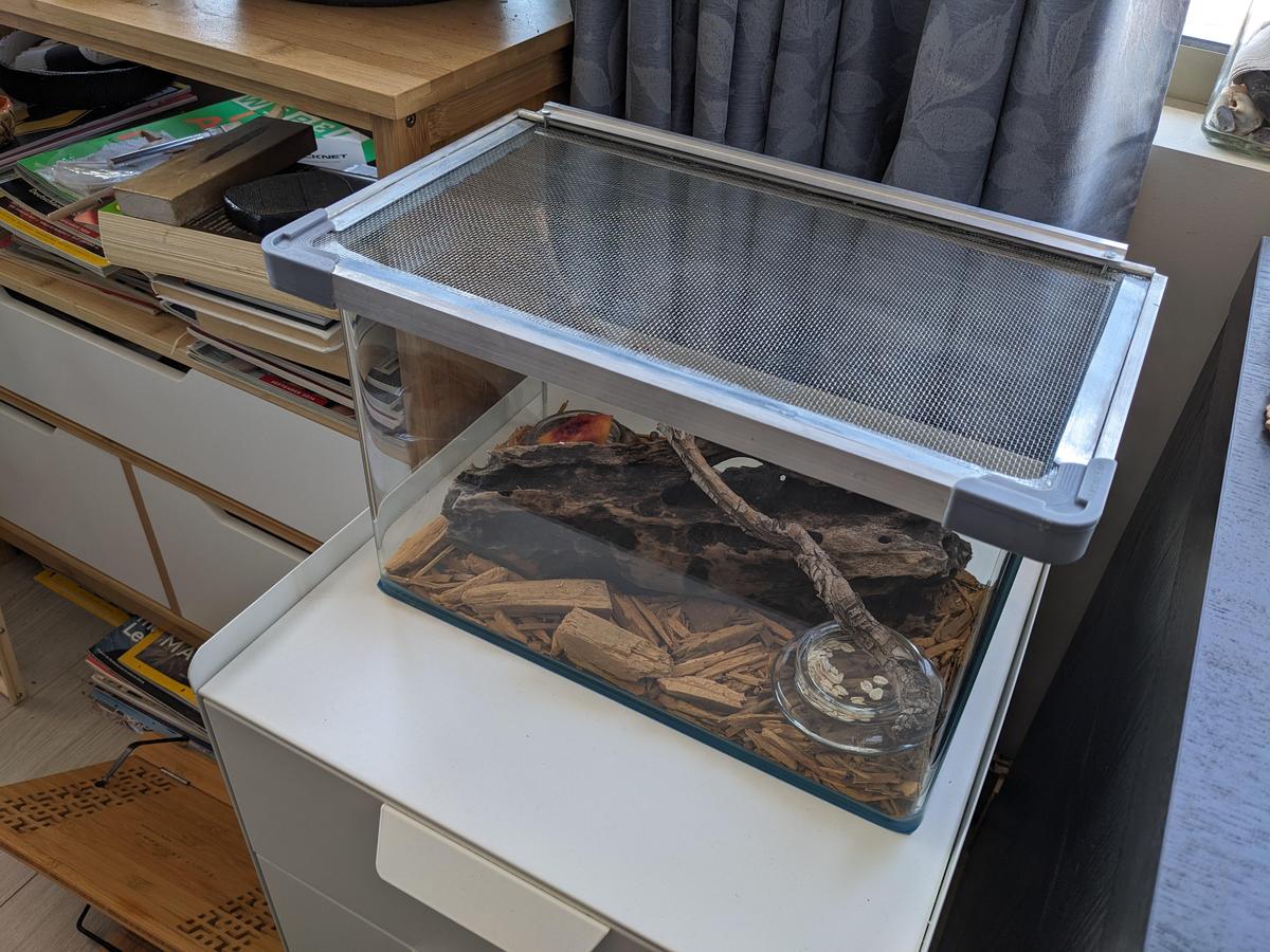 roach tank