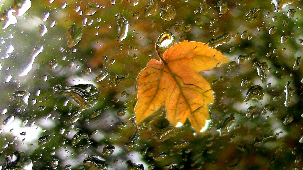 IMG 2143 erster Regen