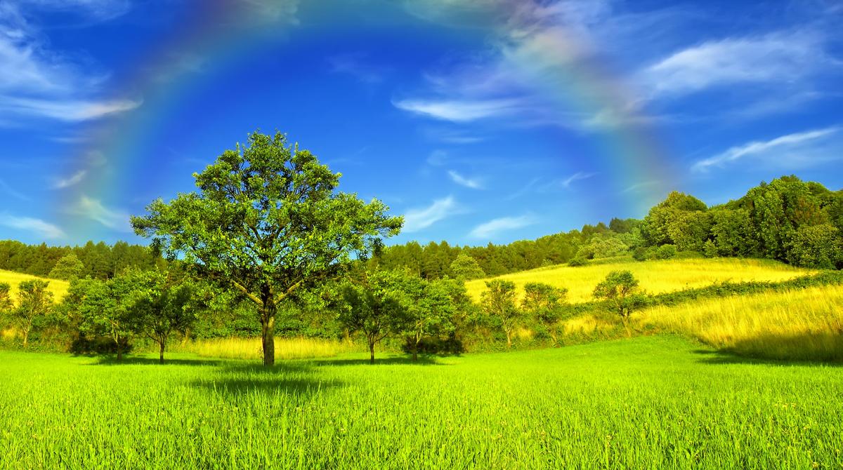 Sky Summer Rainbow Grass 436957 3