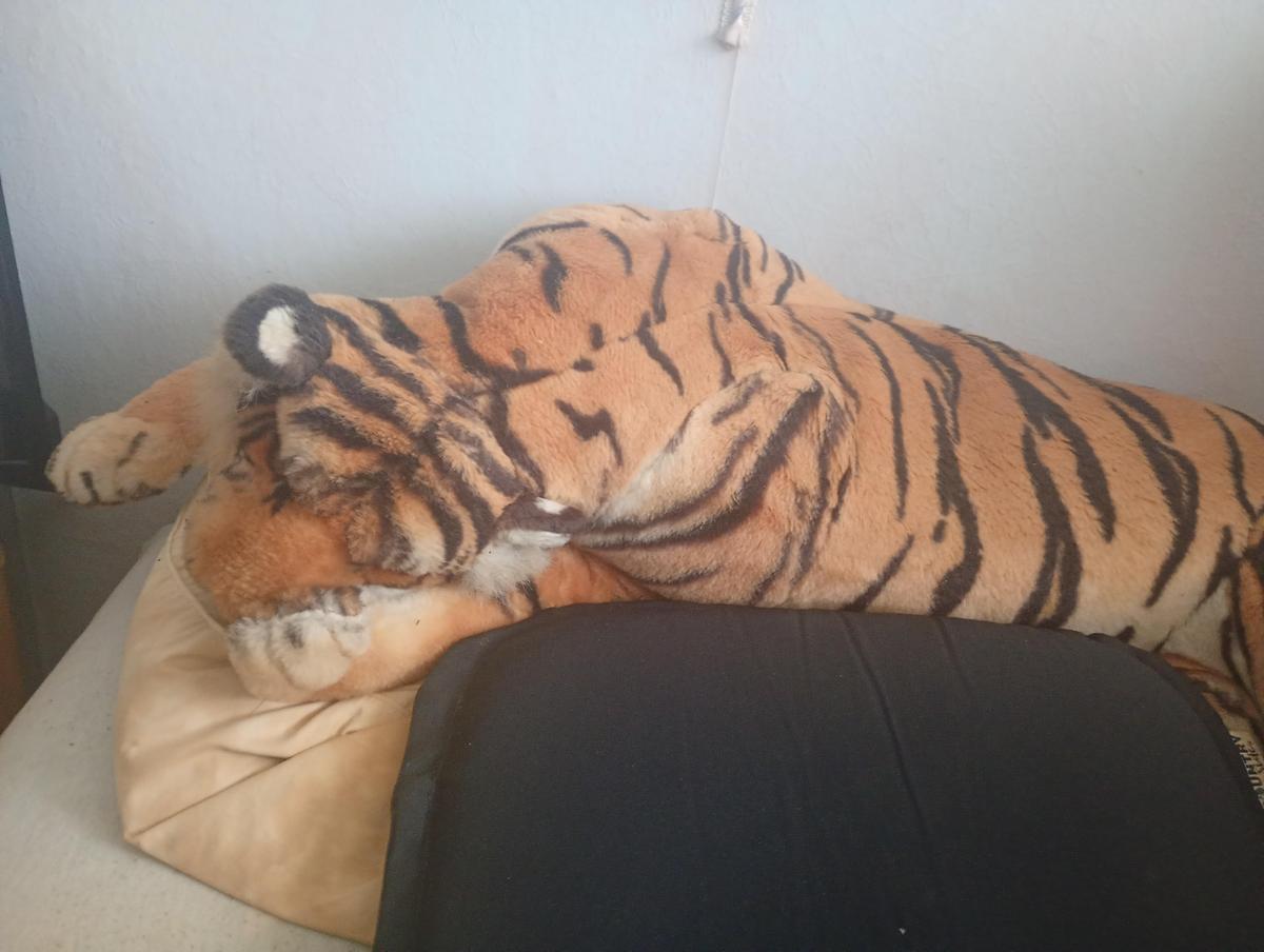 IMG 20260930 141735847 MFNR