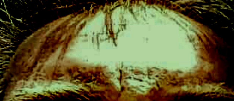 20190404 154750