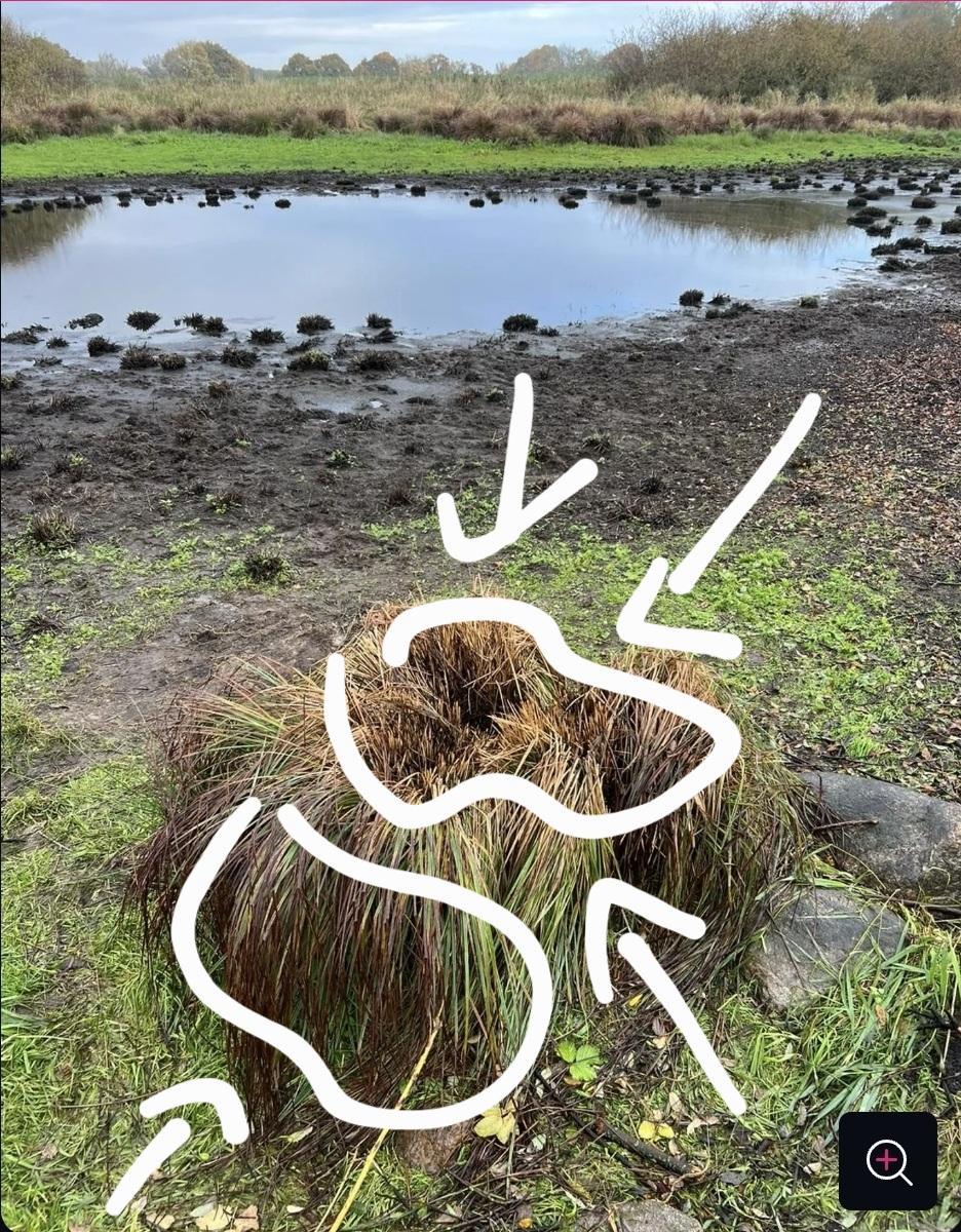 Screenshot 20251105 225432 Chrome