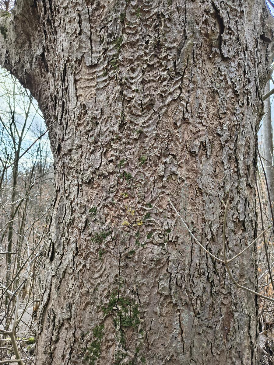 IMG 20260228 152157579 HDR