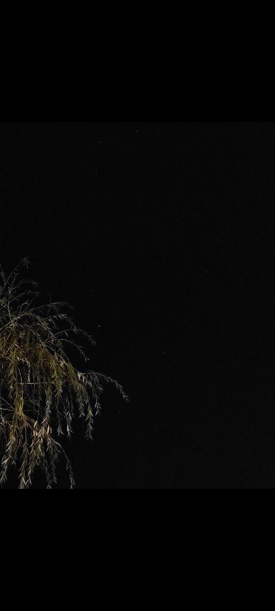Screenshot 20260922 230628 Gallery