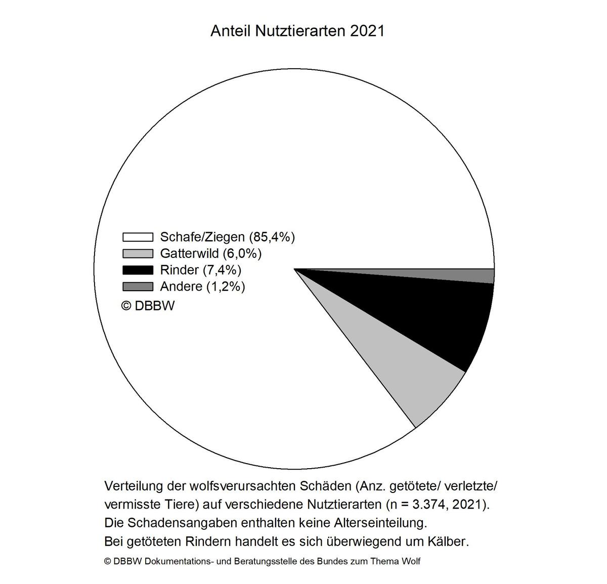 SchaedenTierart2021 Torte