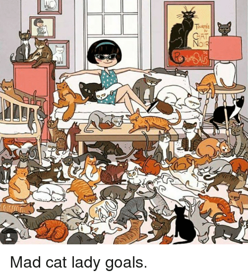 mad-cat-lady-goals-30380479