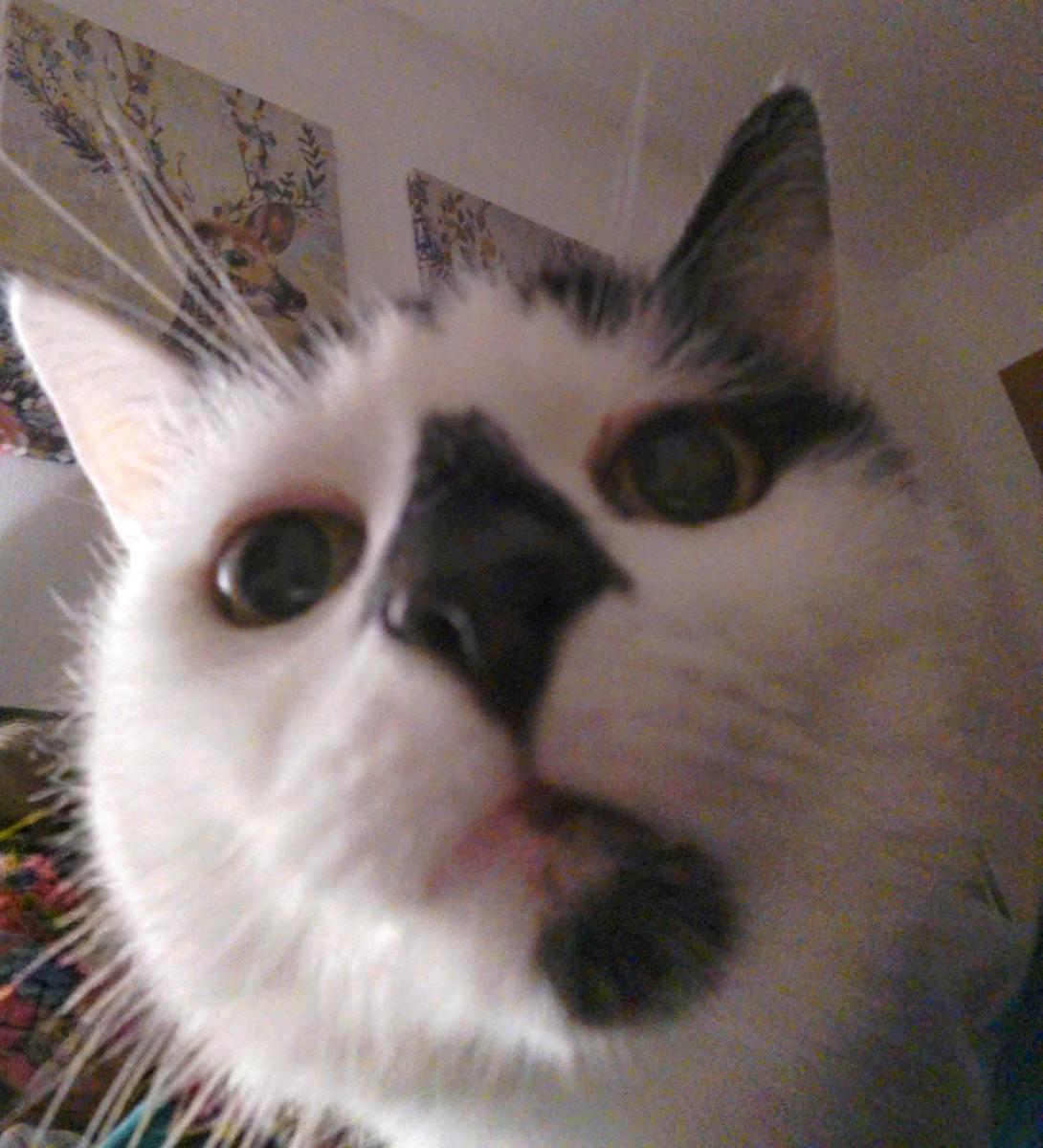 IMG 20251219 2305422