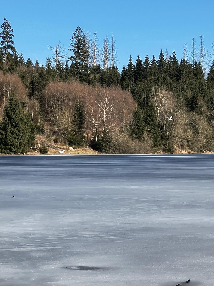 IMG 20260225 143428223 HDR