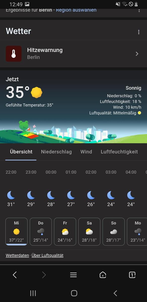 Screenshot 20250702-124933 Web Browser