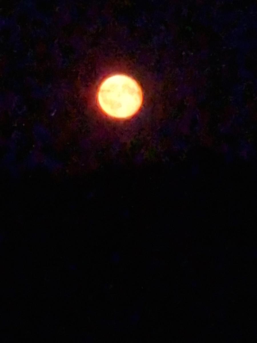 Moon