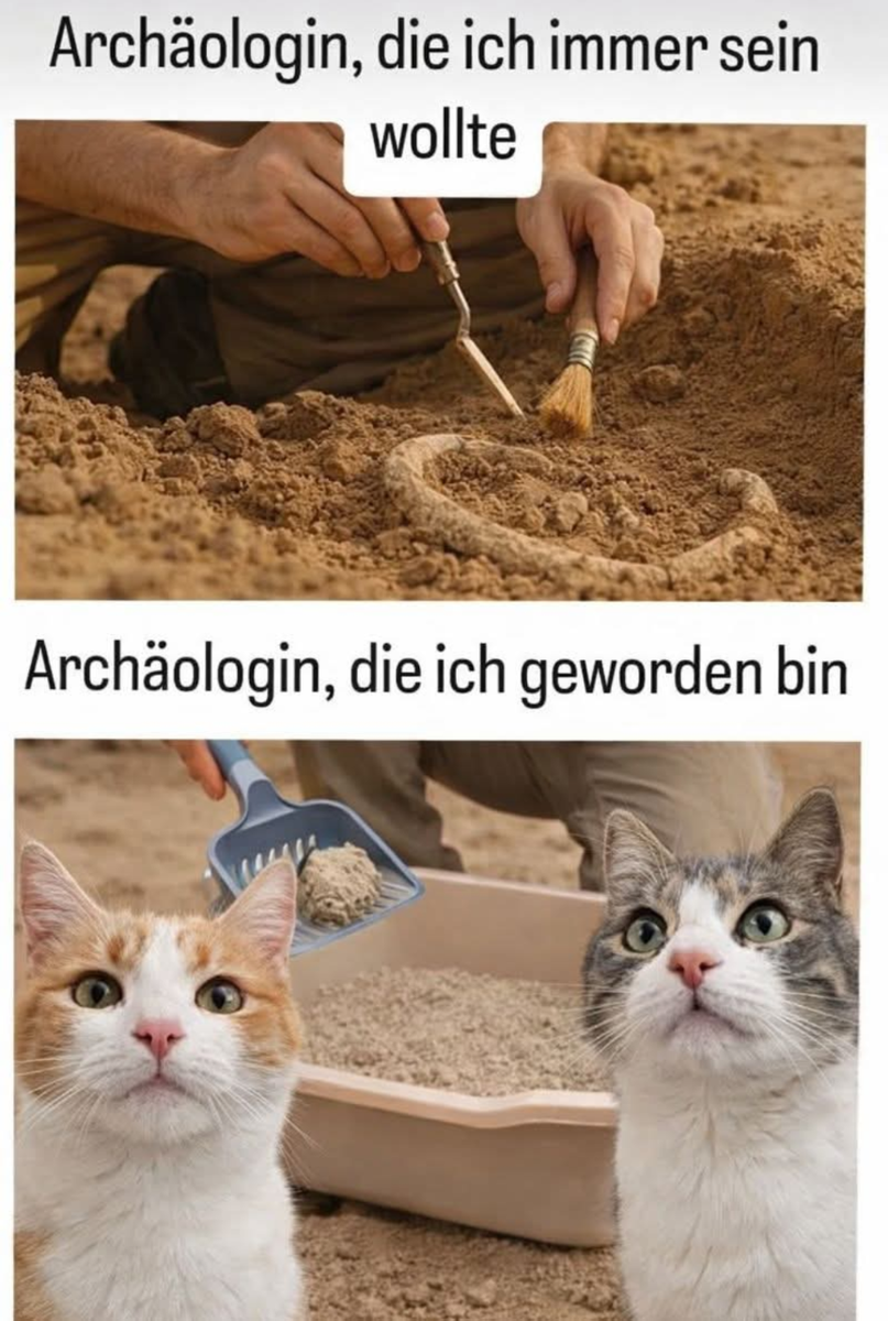 Screenshot 20260216-221856