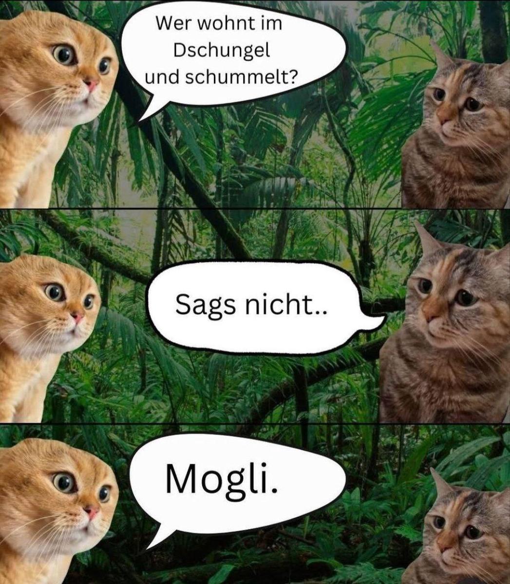 Dschungelschummel