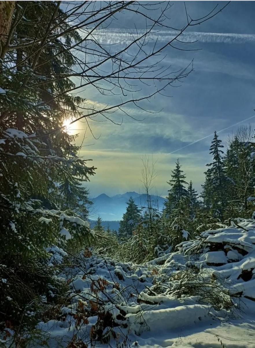 Screenshot 20260113 202019 Chrome