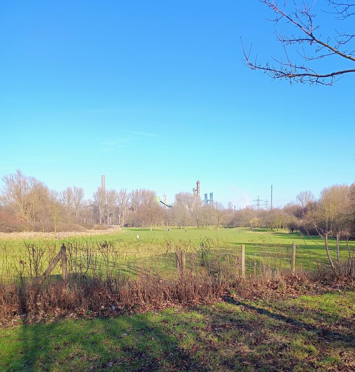 IMG 20260208 135344948 AE2