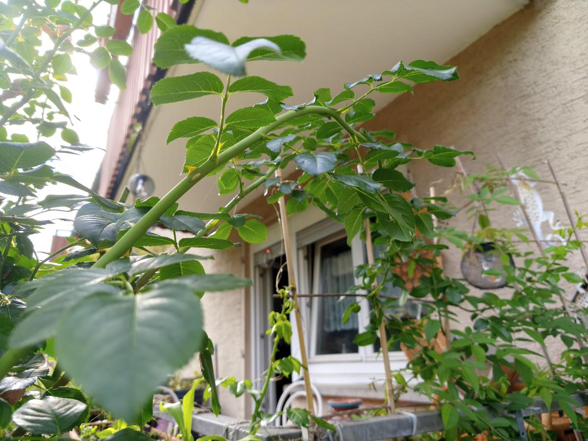 IMG 20260902 160358