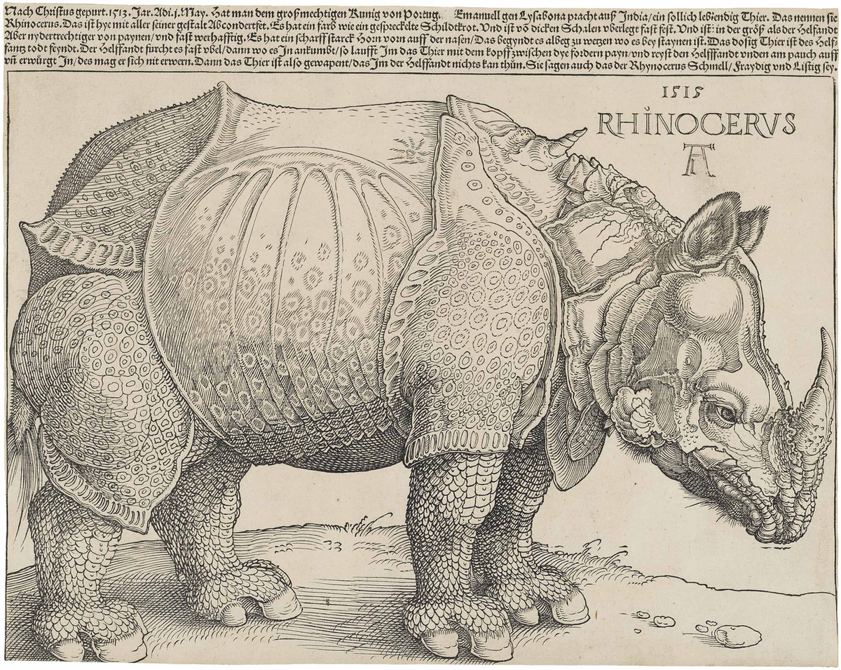 1280px-Duerers Rhinoceros 1515