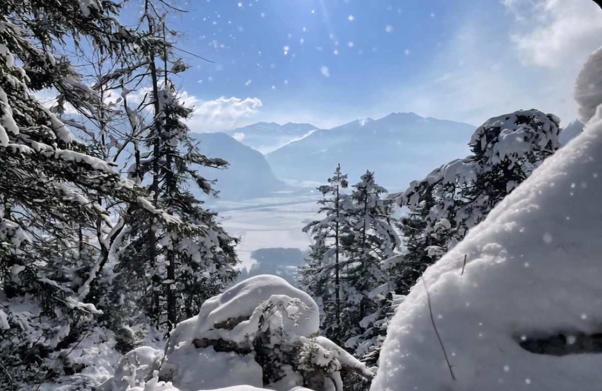 Screenshot 20251123 102511 Chrome