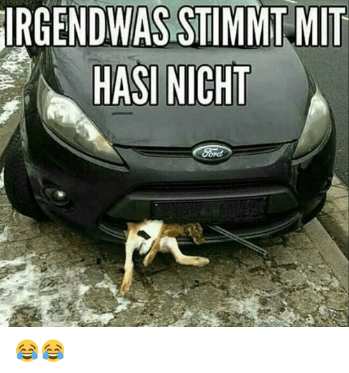 Lprofildesktopirgendwasstimmt-mit-hasi-n