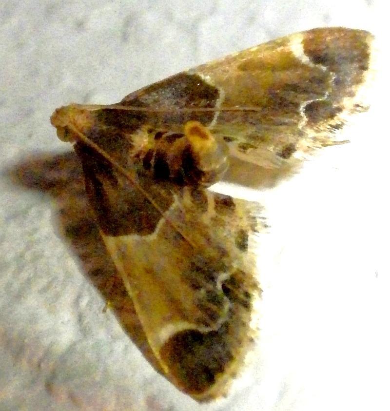  KK 6315