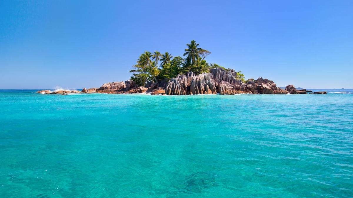 seychelles tropical island sea palm tree