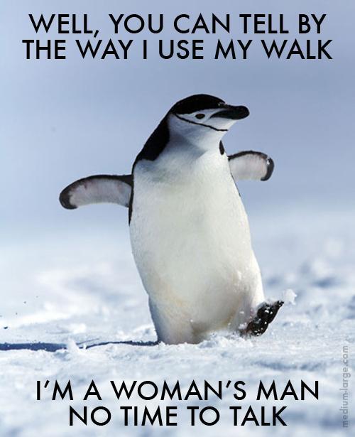 penguin-appreciation-day-2