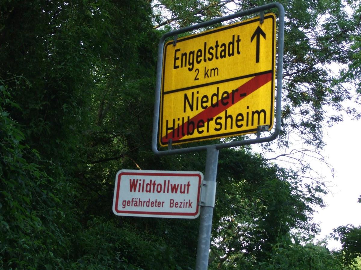 Tollwut Schild 3