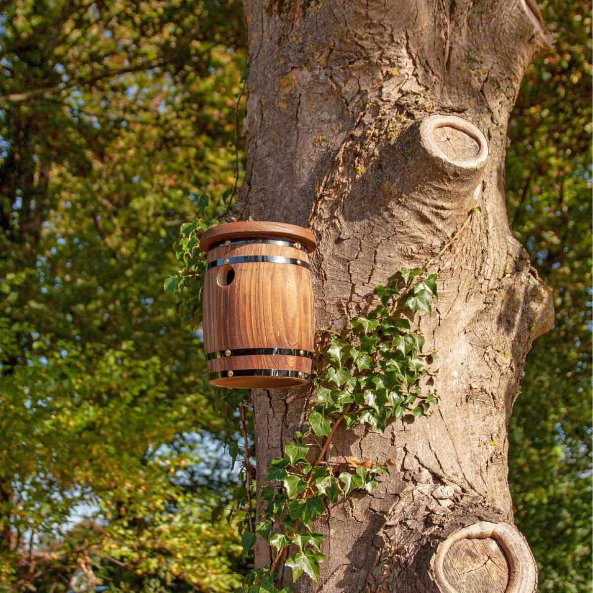 BARRELNESTER WEBBEDIMAGE2