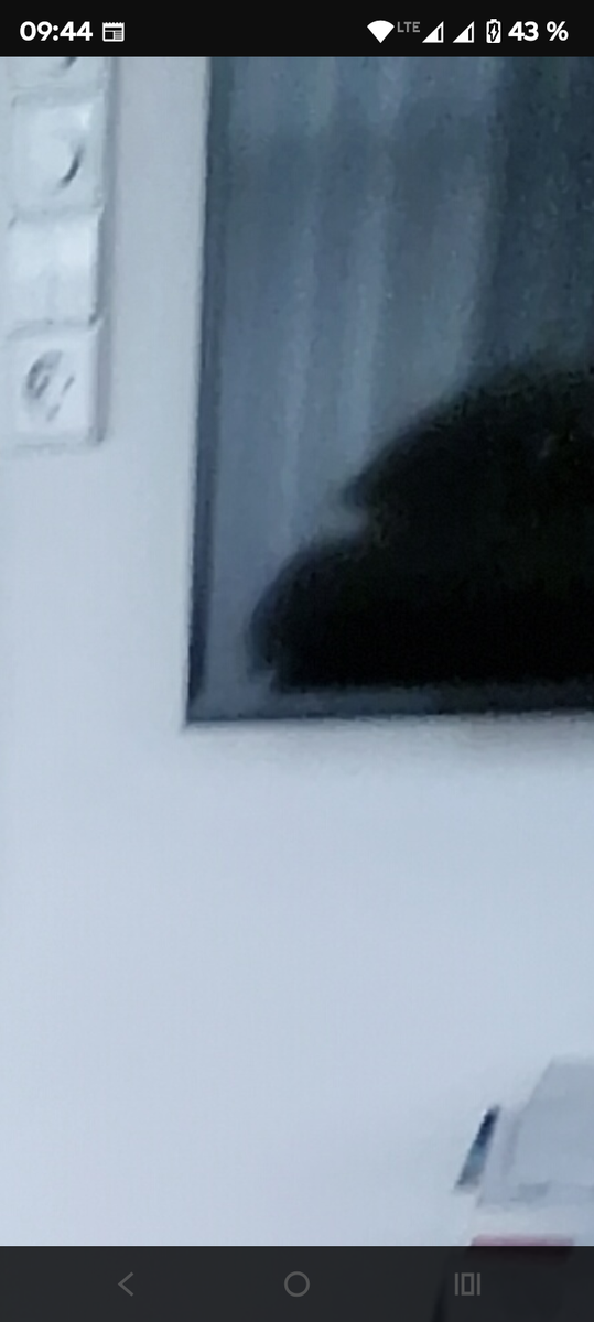 Screenshot 20261031-094405