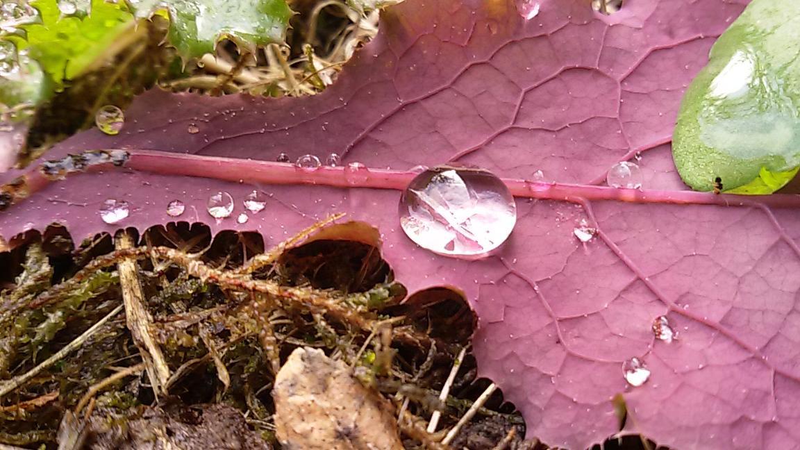 nach dem Regen 2