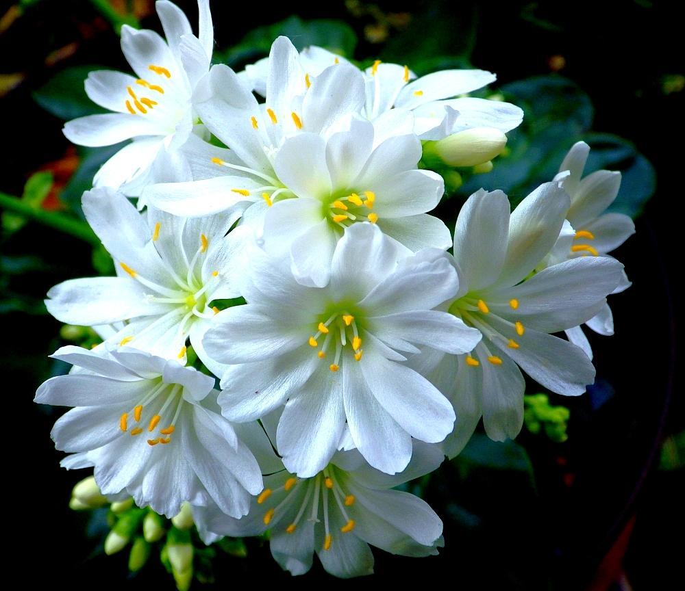 IMGP0256