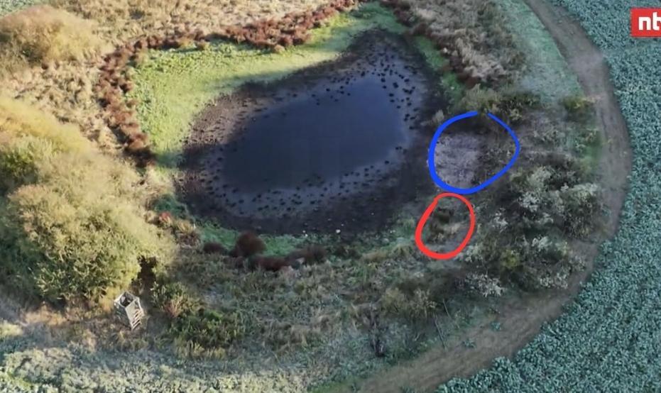 Screenshot 20251105 232603 Allmystery