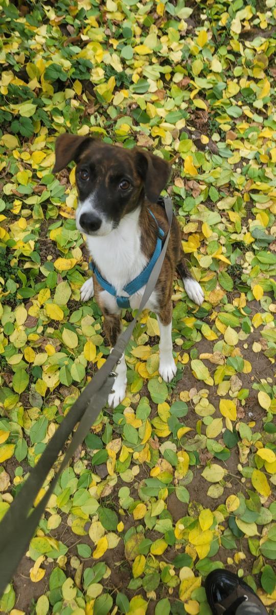 pn z3gs5t4nguzv 176070998546547972690820