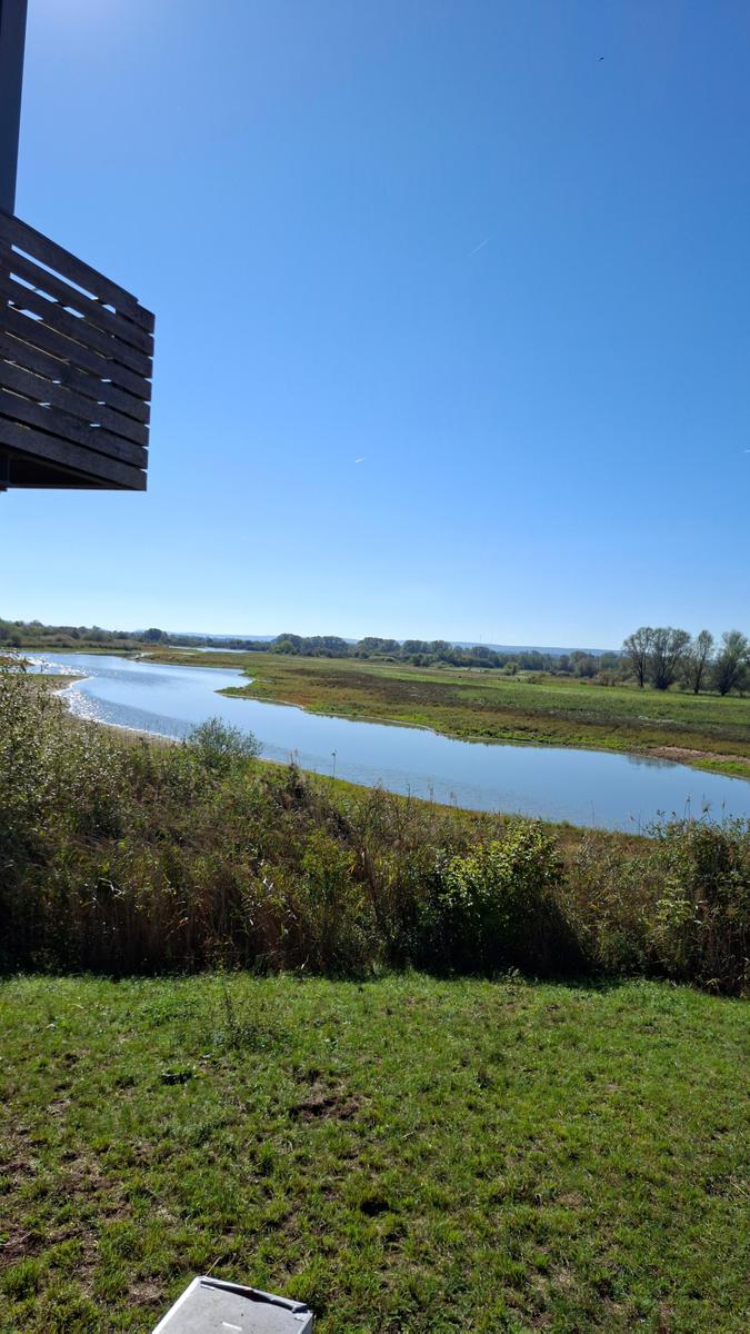 Vogelinsel 19