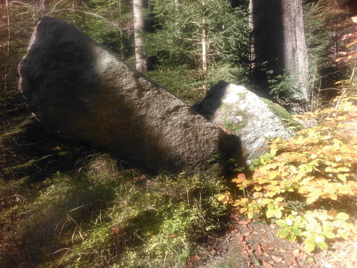 gesttzte Dolme im Steinbachtal Klingenth