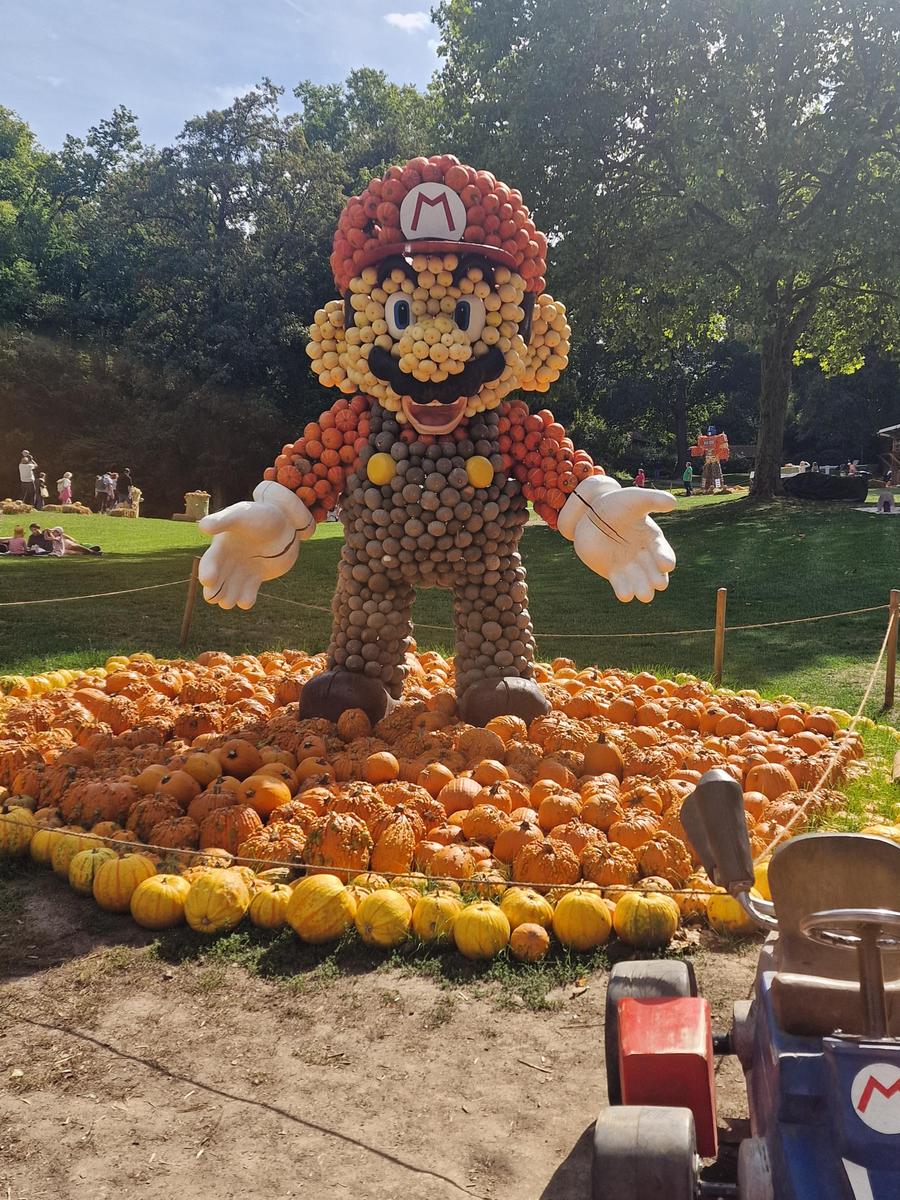 20260917 130804