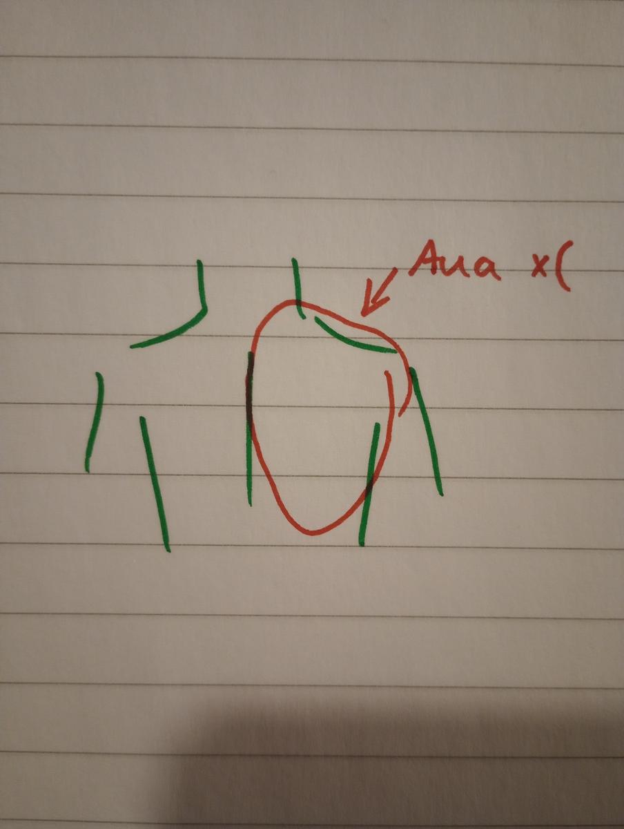 IMG 20260314 122157865 1