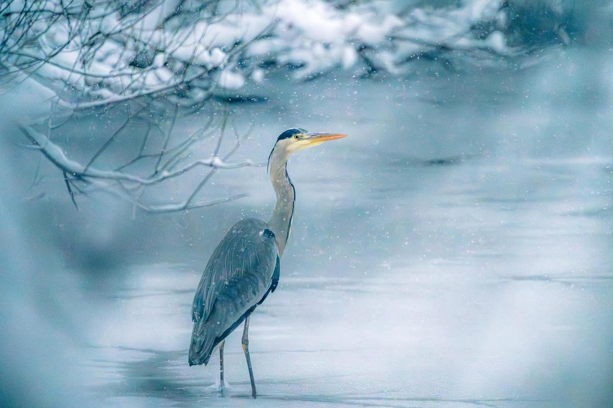 507952565 10237202182820019 371430916563