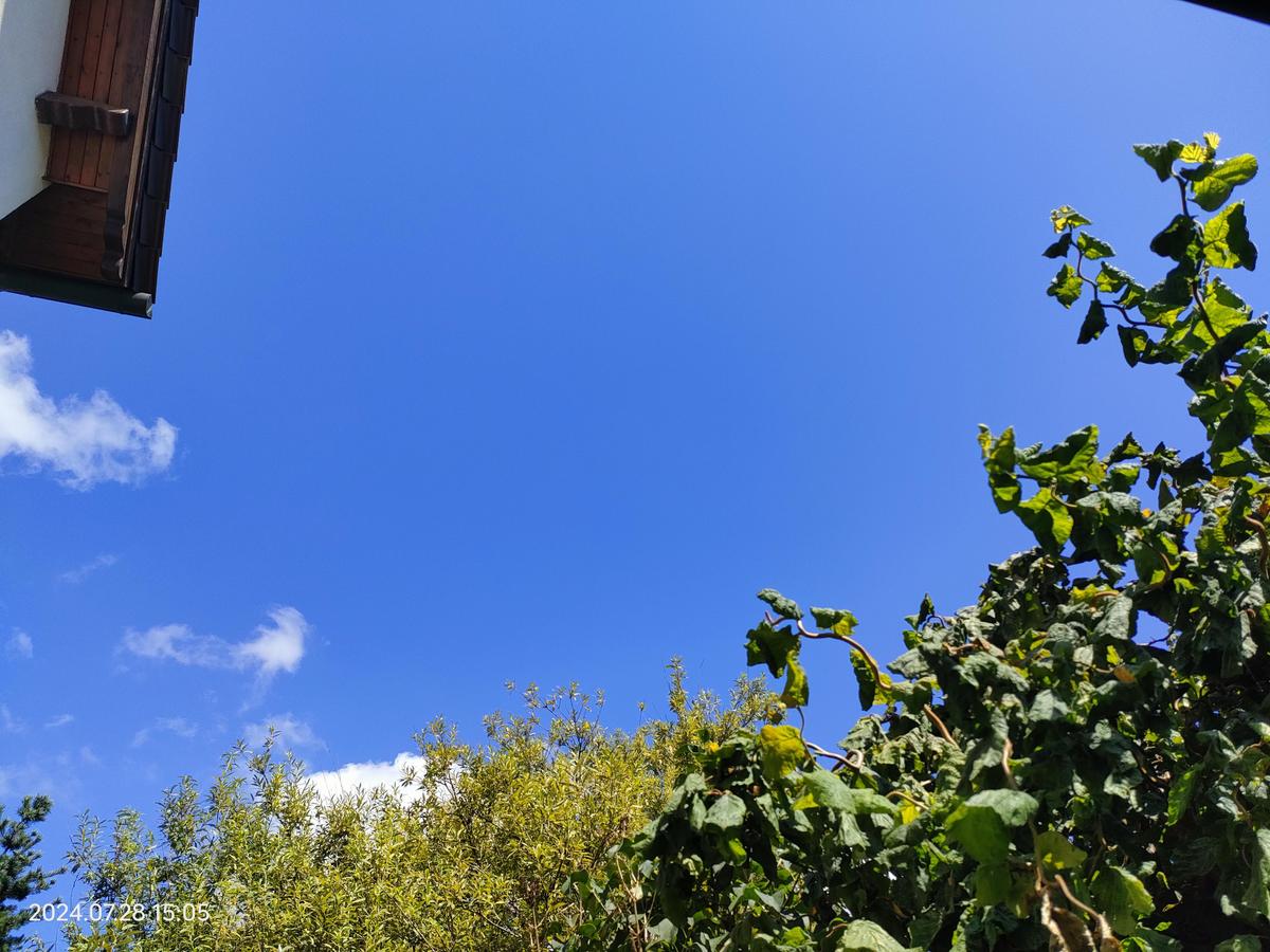 IMG20240728150521