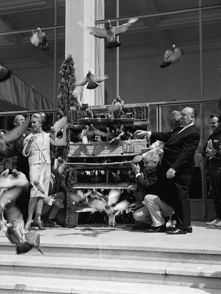 Cannes 63 - Copy