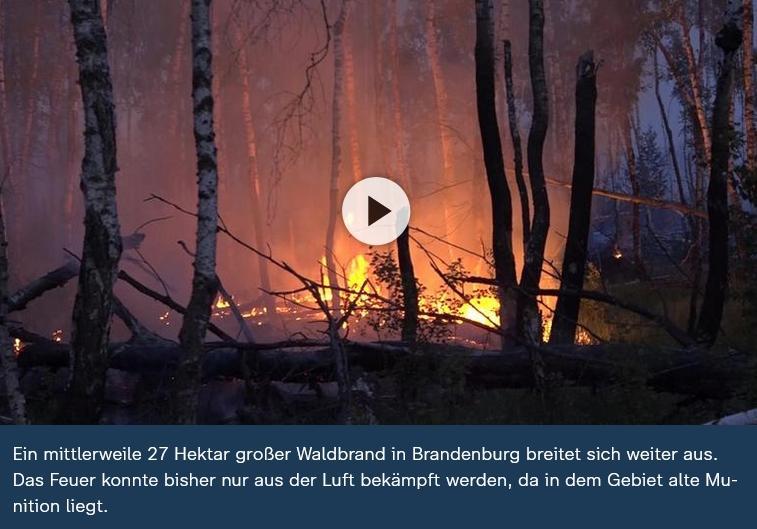 waldbrand