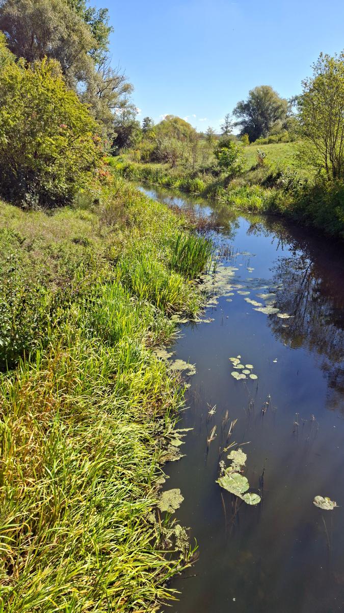Vogelinsel 40