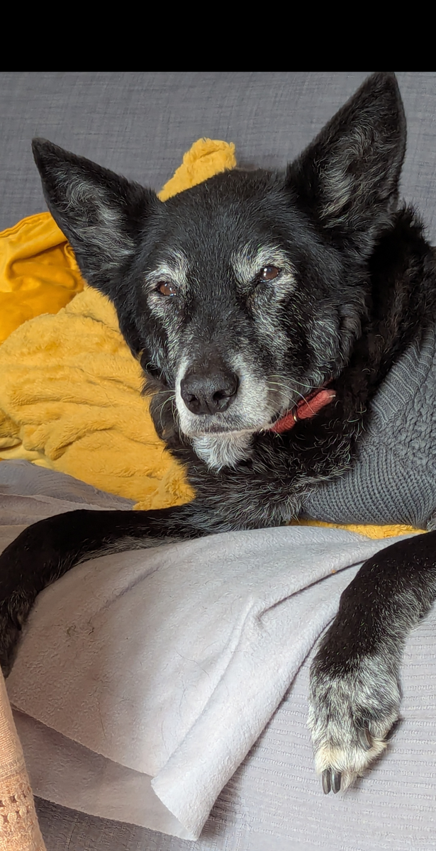 Screenshot 20260415-012549