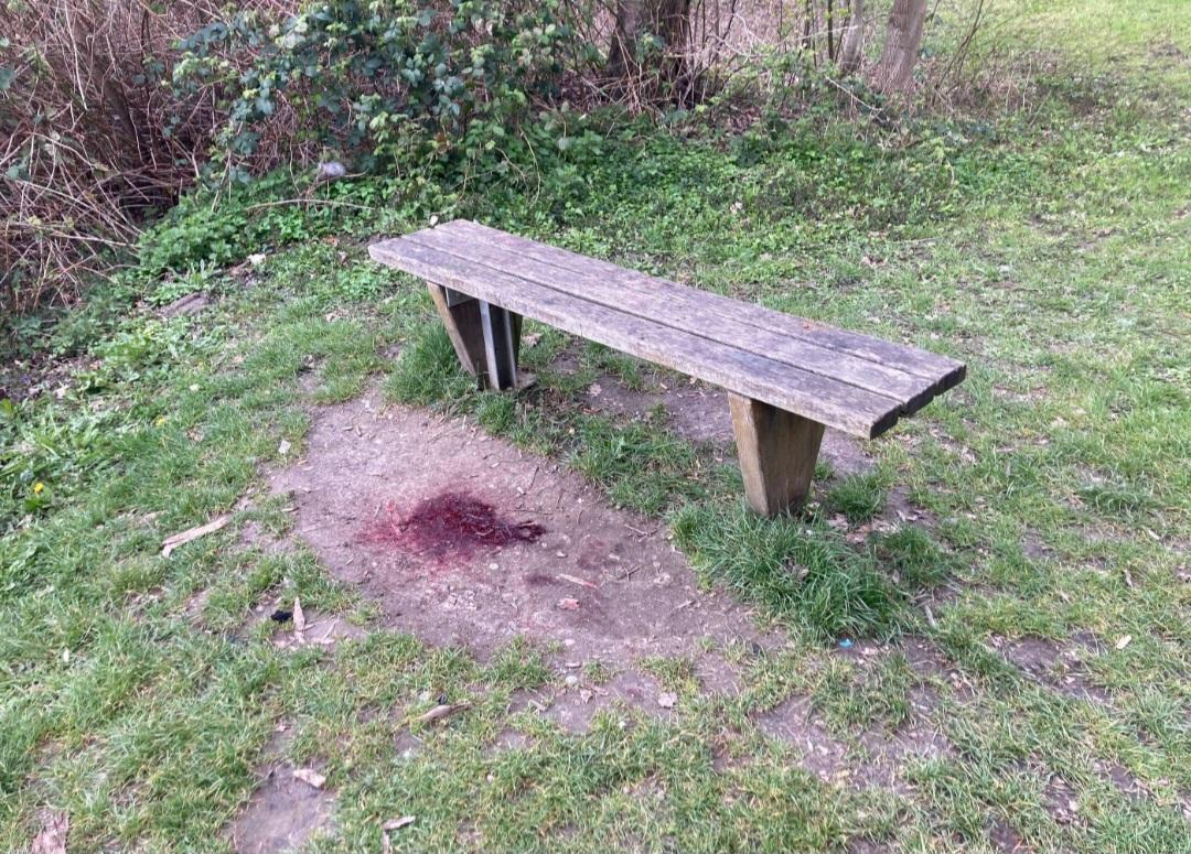 Screenshot 20260404 181945 Chrome