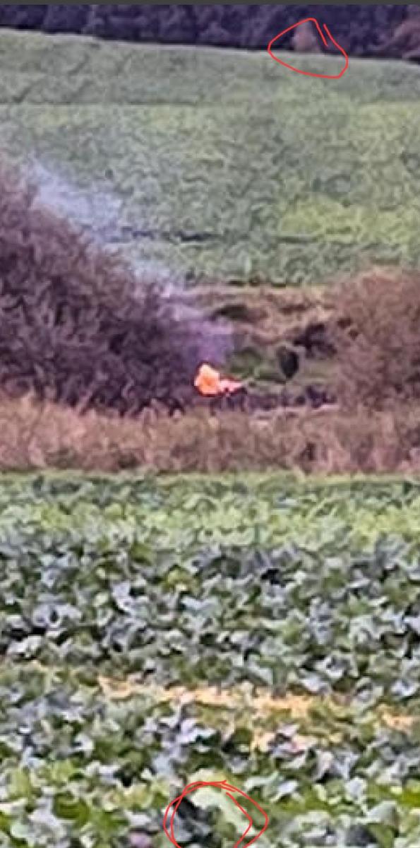 Screenshot 20251117-141049 Allmystery