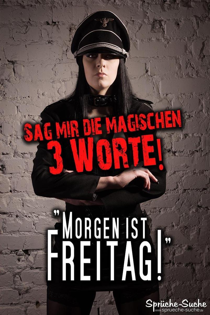 domina-sprueche-lustig-mit-bild