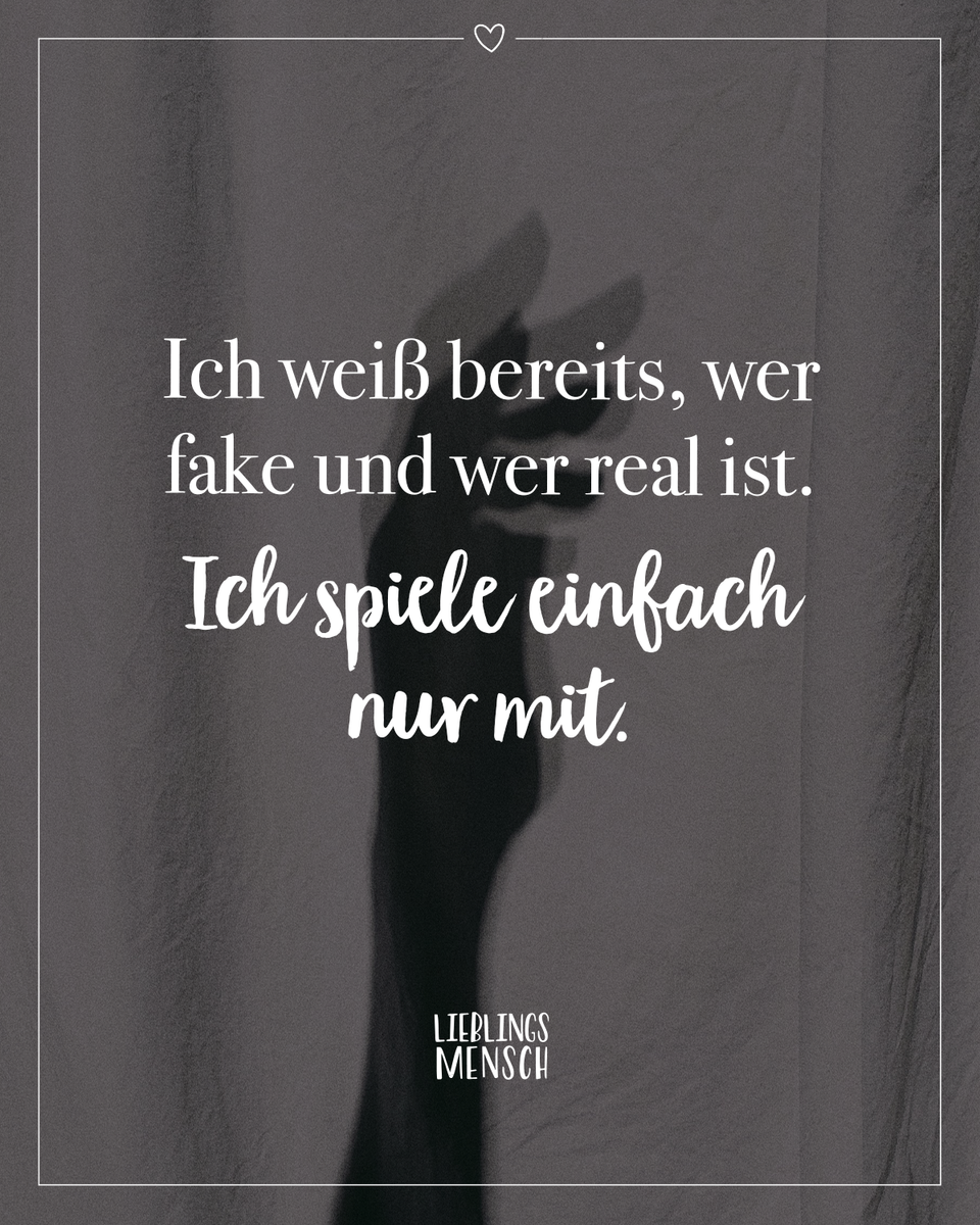 spruch-fake-real-mitspielen