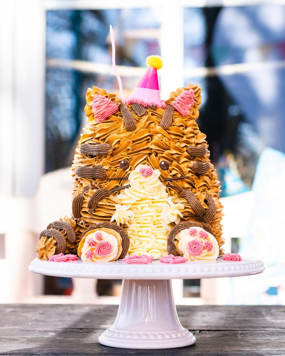Katzen-Kuchen-Kitty-Cake