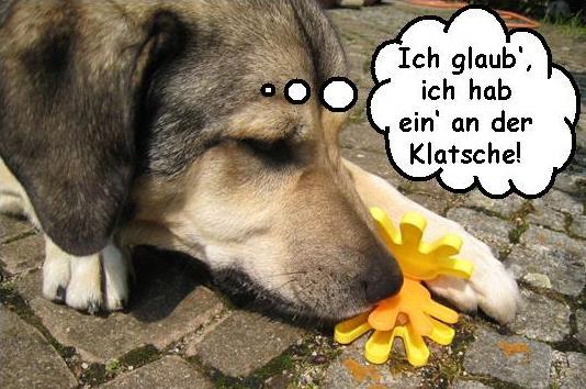 klatsche20-20ich20glaub20ich20hab20ein20