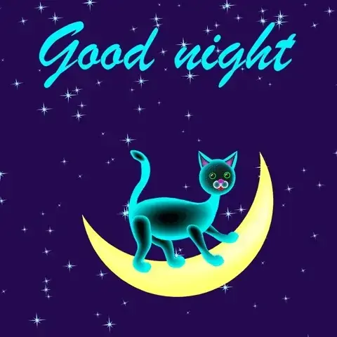 45w7zws457uw4568568.webp